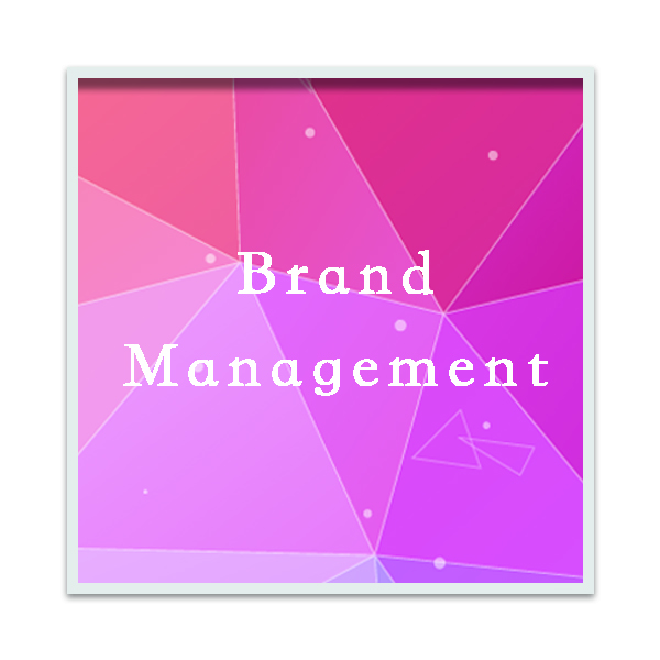 Modest Management brandmanagement – Media Agency